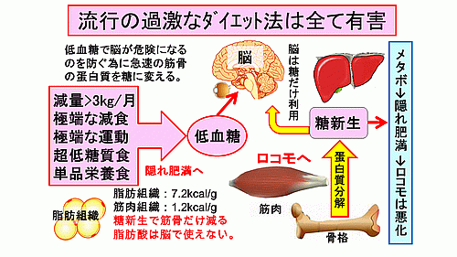 流行の過激なダイエットは方法は全て有害　画像