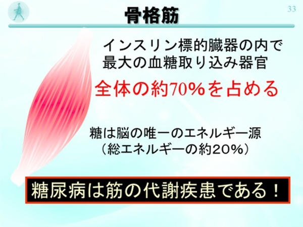 骨格筋と糖尿病