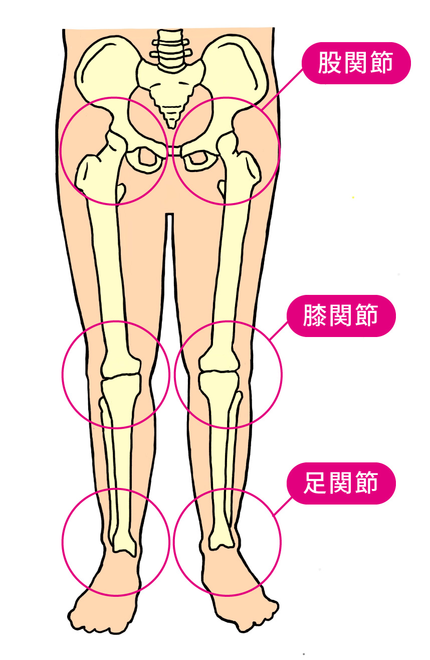 下肢の3大関節