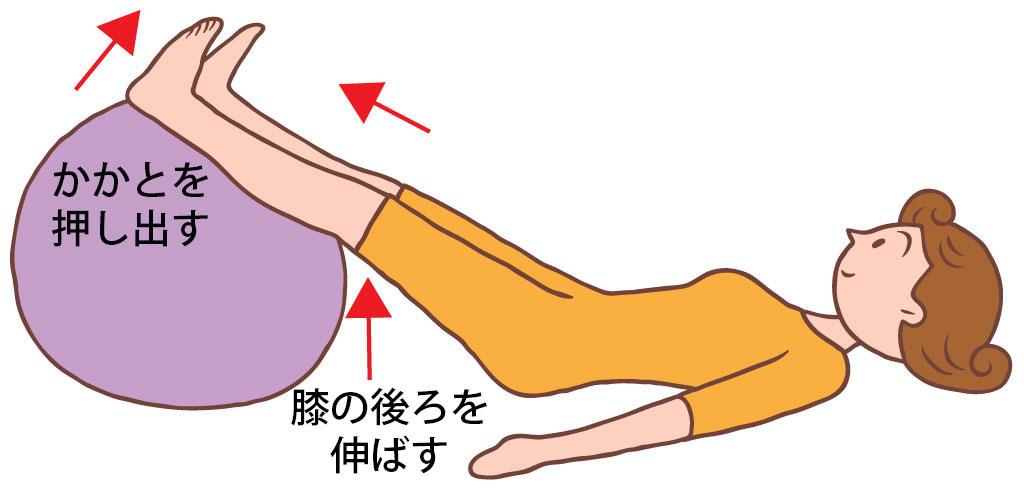 股関節周囲筋