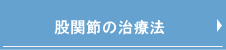 股関節の治療法ページへ